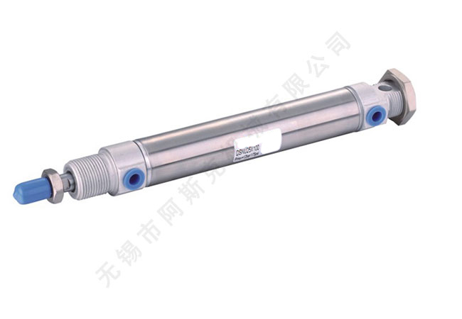 DSN Series Stainless Steel Mini Cylinder